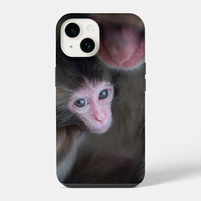 Coque iPhone Les bébés animaux les plus mignons | Singe macaque (Verso)