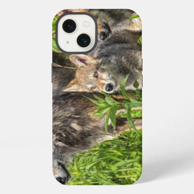 Coque iPhone Les Etats-Unis, Minnesota, grès, faune 12 du (Verso)