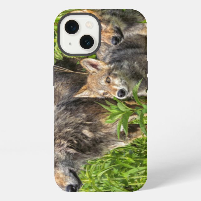 Coque iPhone Les Etats-Unis, Minnesota, grès, faune 12 du (Verso)