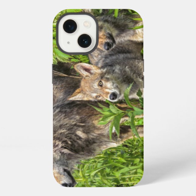 Coque iPhone Les Etats-Unis, Minnesota, grès, faune 12 du (Verso)