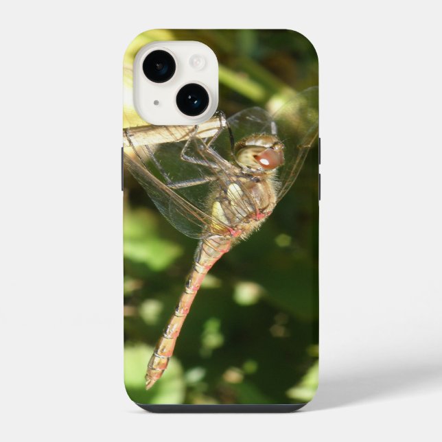 Coque iPhone Libellule sur une brindille (Verso)