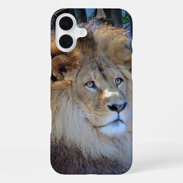 Coque iPhone lion (Verso)