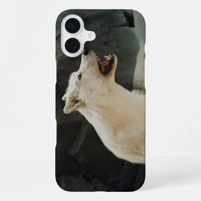 Coque iPhone Loup blanc (Verso)