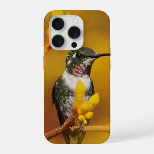 Coque iPhone 15 Pro Lueur dorée