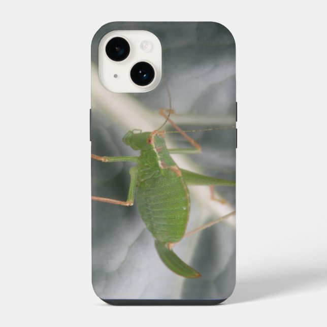 Coque iPhone Macro Criquet Vert (Verso)