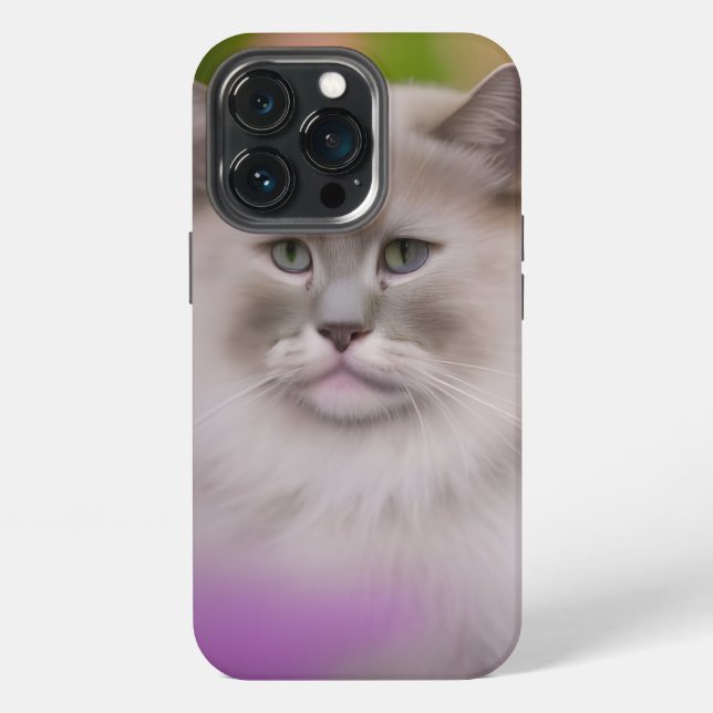 Coque iPhone Magnifique chat himalayen Maine Coon  (Dos)