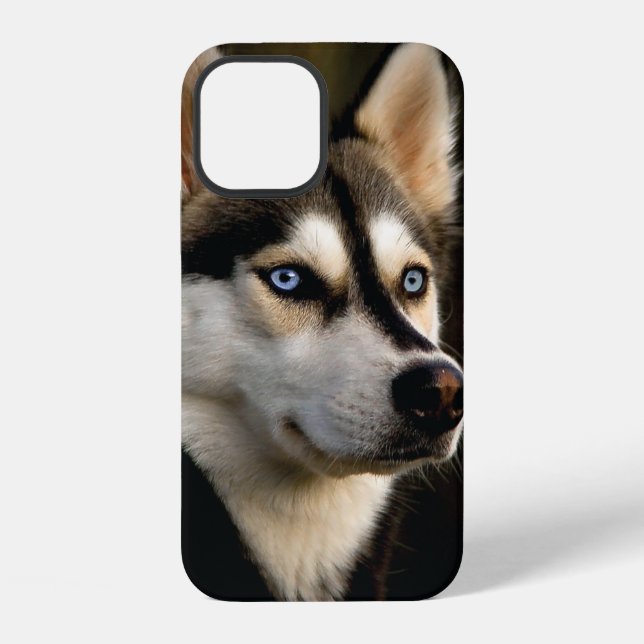 Coque iPhone Magnifique Coussin de Lancement Husky (Verso)
