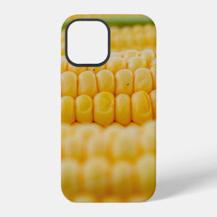 Coque iPhone 12 Maïs de maïs sur les grains de maïs de porc