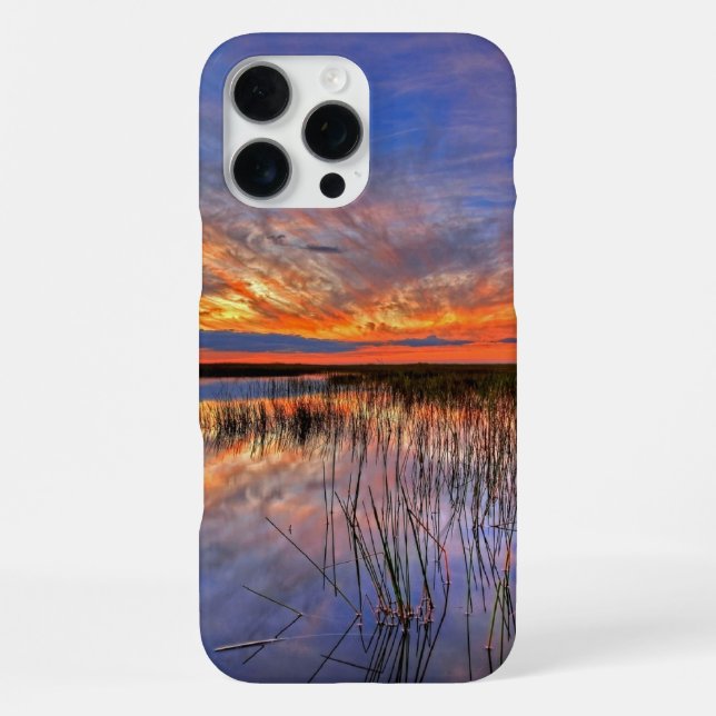 Coque iPhone Marais d'Everglades de Floride (Verso)