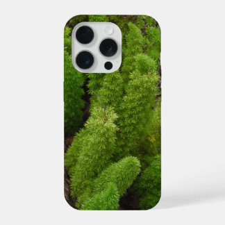 Coque iPhone 15 Pro Marches de fougères vertes