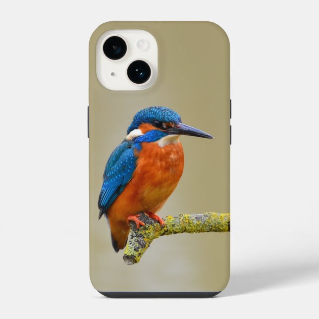 Coque iPhone Martin-pêcheur perché (Verso)