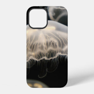 COQUE iPhone 12 MÉDUSE BLANCHE