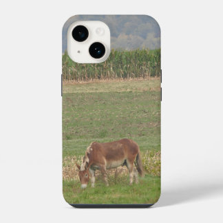 Coque Pour iPhone 14 Mélange âne sur l'agriculture pâturage dans l'herb
