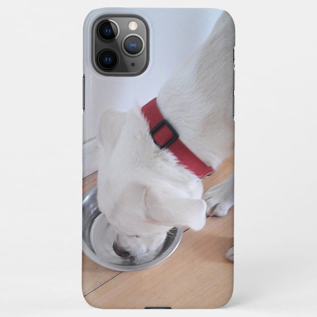 Coque iPhone Mélange blanc Labrador Mélange Chien Chien Chien C (Dos)