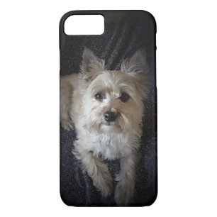 Coque iphone mignon de chien de Terrier de cairn