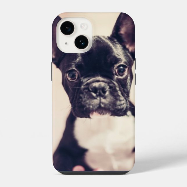 Coque iPhone Minuscule Chiot noir et blanc (Verso)