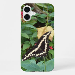 Coque iPhone 16 Plus Monarque jaune et fleurs en Floride