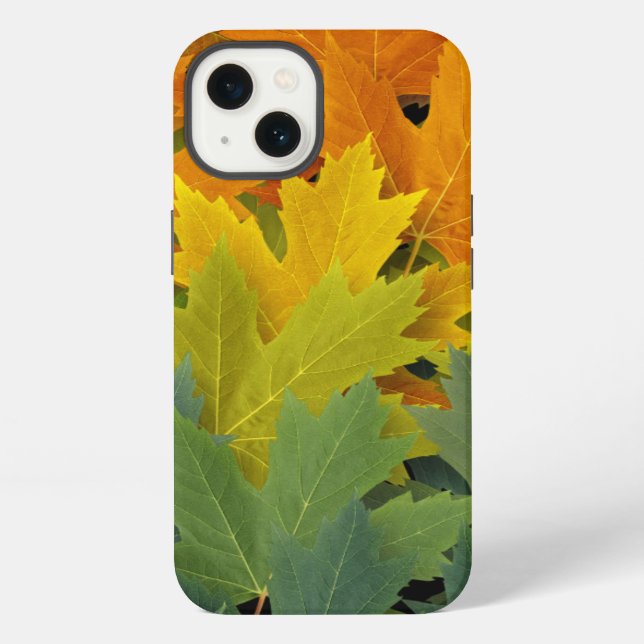 Coque iPhone Motif 2 d'automne (Verso)