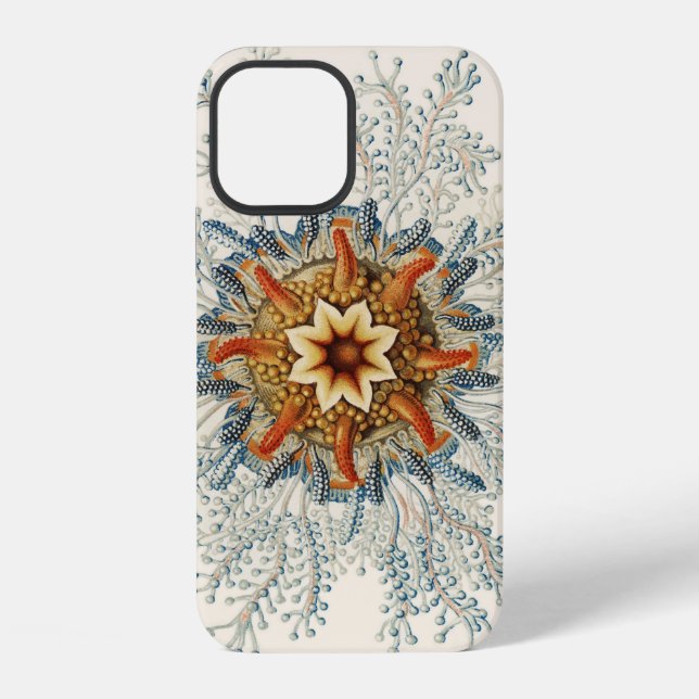 Coque iPhone Motif de mandala corallien (Verso)