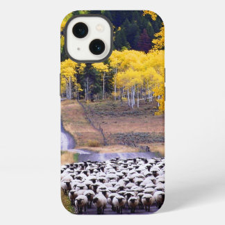 Etui iPhone 13 Mouton sur Country Road
