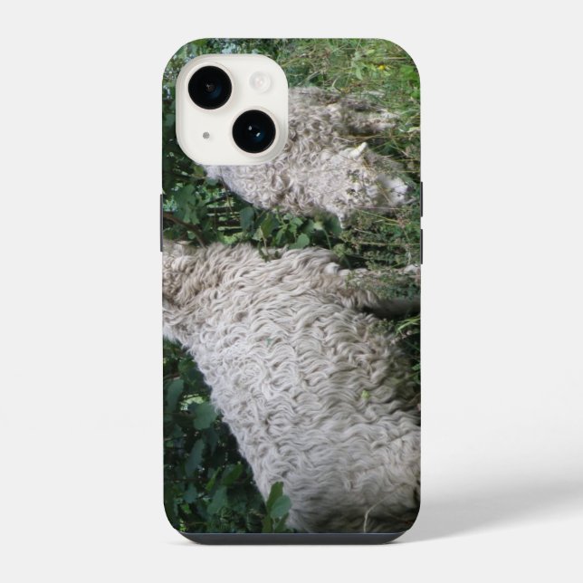 Coque iPhone Moutons mignons mangeant des feuilles (Verso)