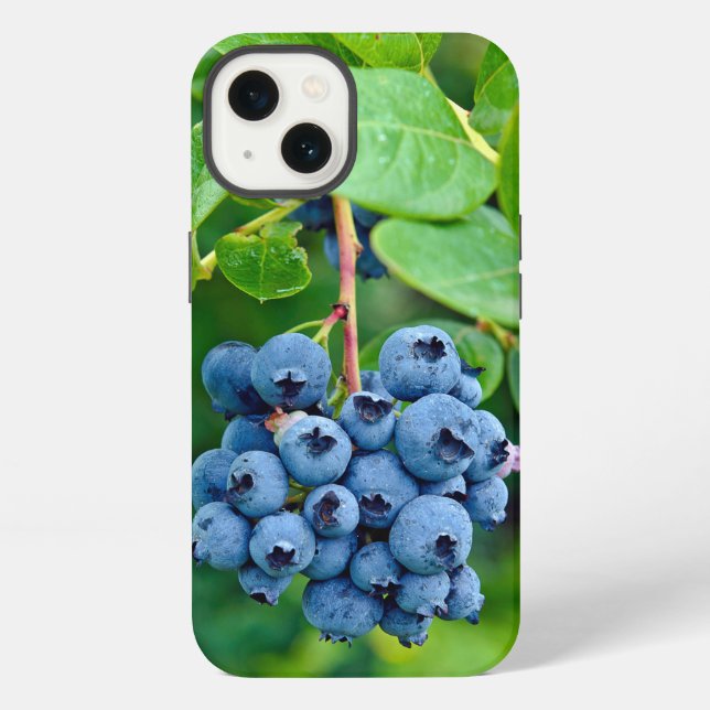 Coque iPhone Myrtilles Mûres Sur Buisson (Verso)