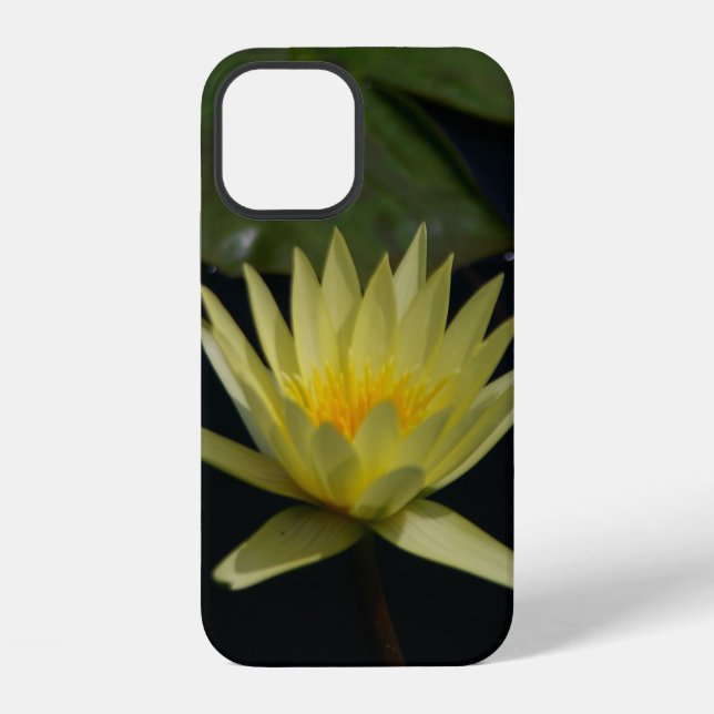 Coque iPhone Nénuphar jaune Lotus (Verso)