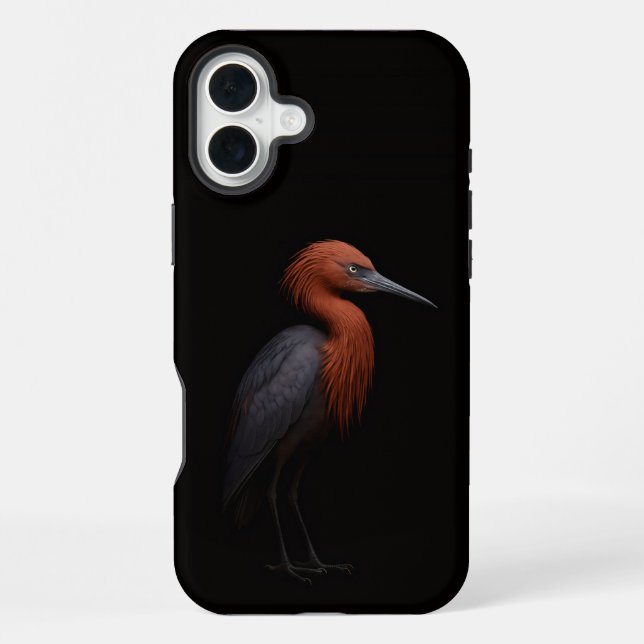 Coque iPhone Noir 4 Luxe iPhone 16 Plus, Aigrette rousse (Verso)