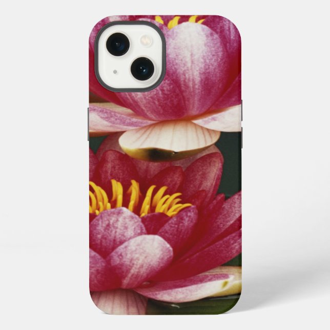 Coque iPhone Nymphéas hybrides (Verso)