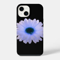 Œillet d'Inde blanc et bleu