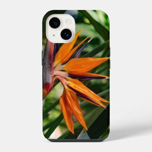 Coque iPhone Oiseau de fleur de paradis. (Verso)
