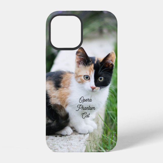 Coque iPhone Opera Phantom Chat (Verso)