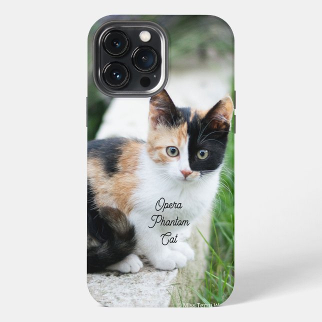 Coque iPhone Opera Phantom Chat (Verso)