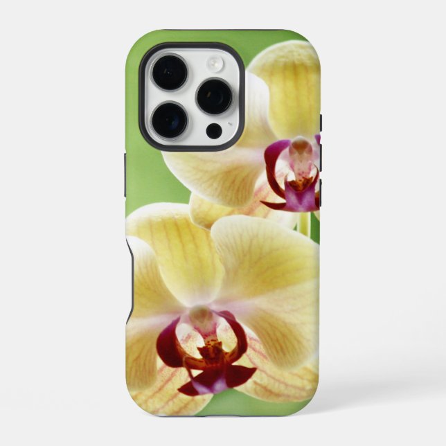 Coque iPhone Orchidée jaune et rose (Verso)