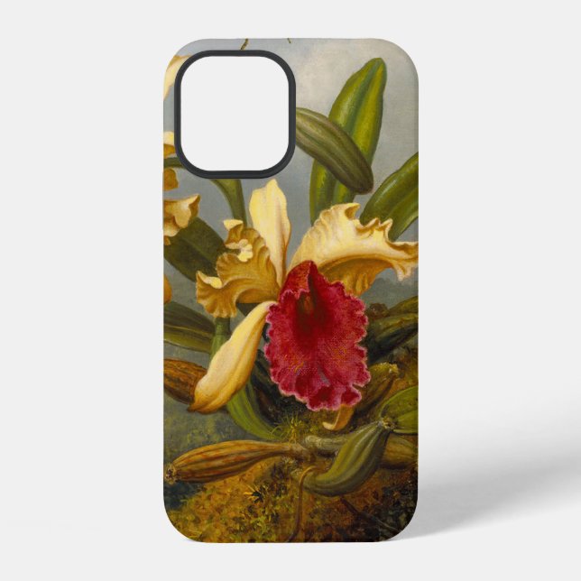 Coque iPhone Orchidées et colibri Heade (Verso)