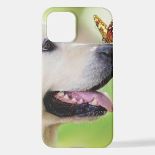 Coque iPhone 12 Oreiller À Lancer Du Labrador Et Du Papillon