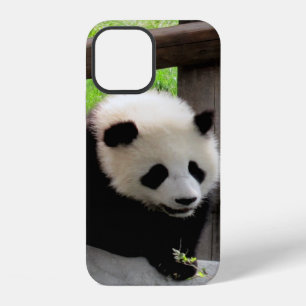 Coque iPhone 12 panda