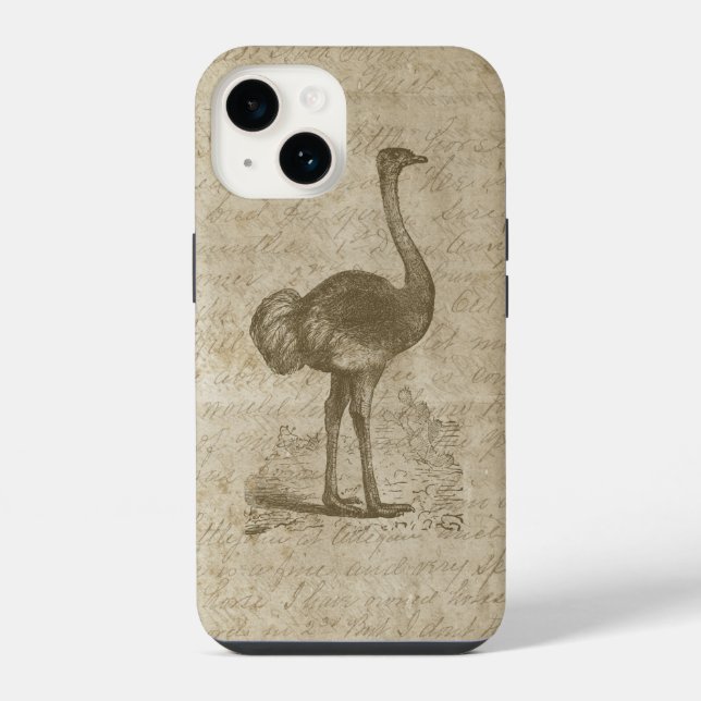 Coque iPhone Papier de grunge de script d'autruche antique (Verso)