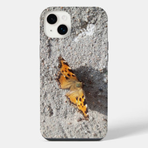 Papillon dans la lumière du soleil