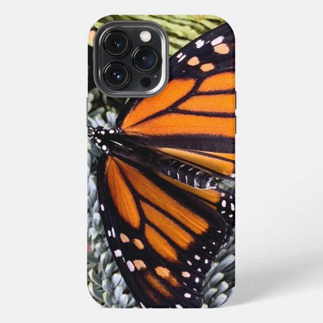 Coque iPhone Papillon monarque sur les conifères (Verso)