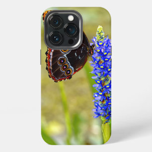 Etui iPhone 13 Pro Papillon morpho bleu sur une orchidée des marais