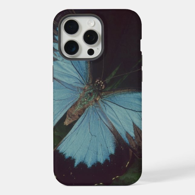 Coque iPhone Papillon noir et bleu (Verso)