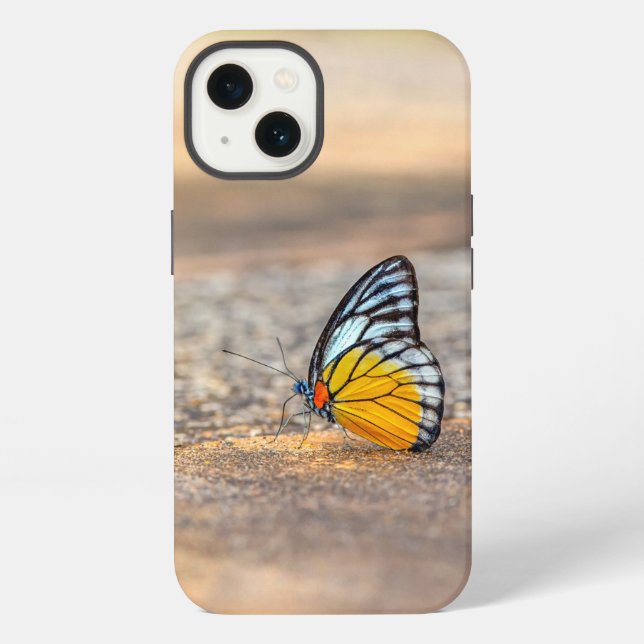 Coque iPhone Papillon sur la plage (Verso)