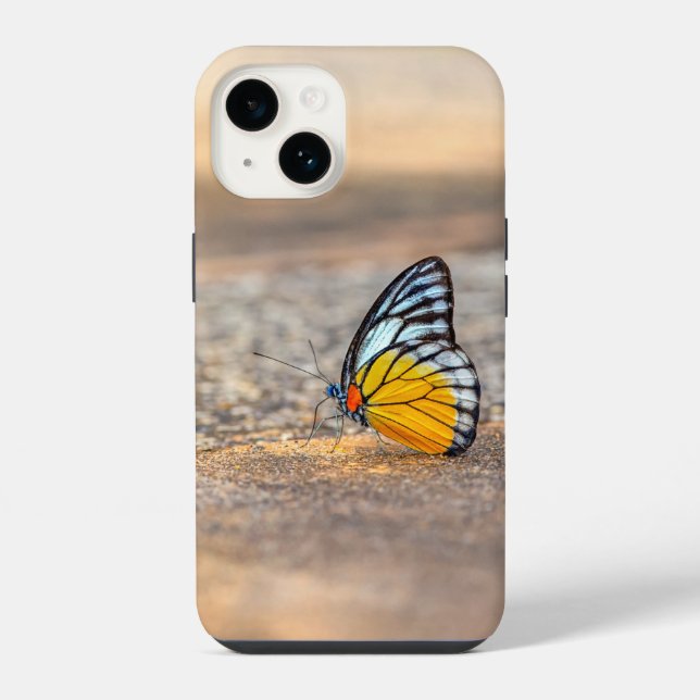 Coque iPhone Papillon sur la plage (Verso)