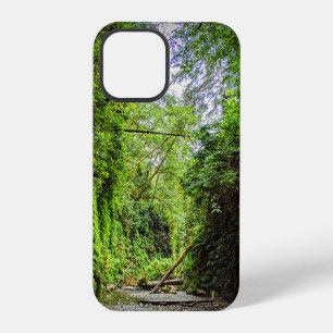 Coque iPhone 12 Pro Parois vertes du canyon de fougères dans le parc n