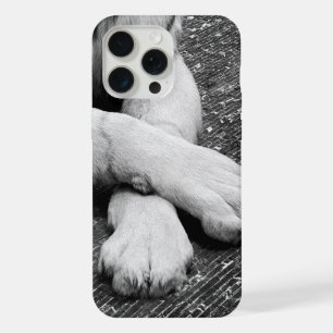 Coque iPhone 15 Pro Max Pâtes