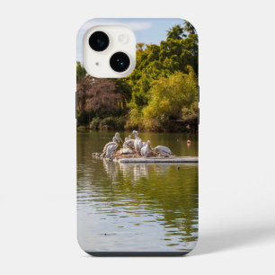 Coque Pour iPhone 14 Pélicans sur le lac au Phoenix Zoo