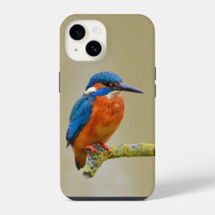 Coque Pour iPhone 14 Perching Kingfisher