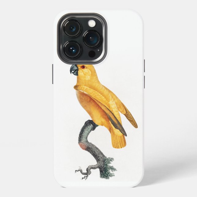 Coque iPhone Perroquet du Sénégal (Dos)