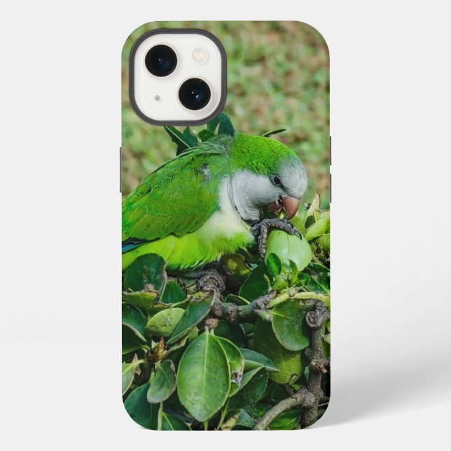 Coque iPhone Perroquet vert (Verso)